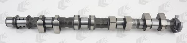 Wilmink Group WG2179559 Camshaft WG2179559: Buy near me in Poland at 2407.PL - Good price!