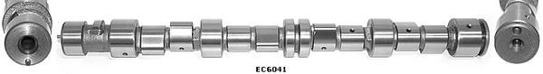 Wilmink Group WG1051548 Camshaft WG1051548: Buy near me in Poland at 2407.PL - Good price!