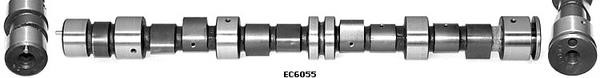 Wilmink Group WG1051552 Camshaft WG1051552: Buy near me in Poland at 2407.PL - Good price!