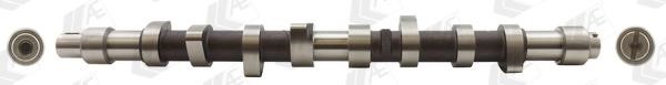 Wilmink Group WG1171837 Camshaft WG1171837: Buy near me in Poland at 2407.PL - Good price!