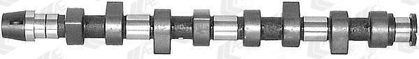 Wilmink Group WG1171857 Camshaft WG1171857: Buy near me in Poland at 2407.PL - Good price!
