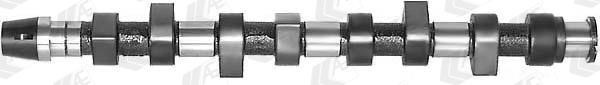 Wilmink Group WG1171858 Camshaft WG1171858: Buy near me in Poland at 2407.PL - Good price!