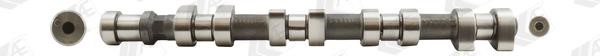 Wilmink Group WG1171869 Camshaft WG1171869: Buy near me in Poland at 2407.PL - Good price!