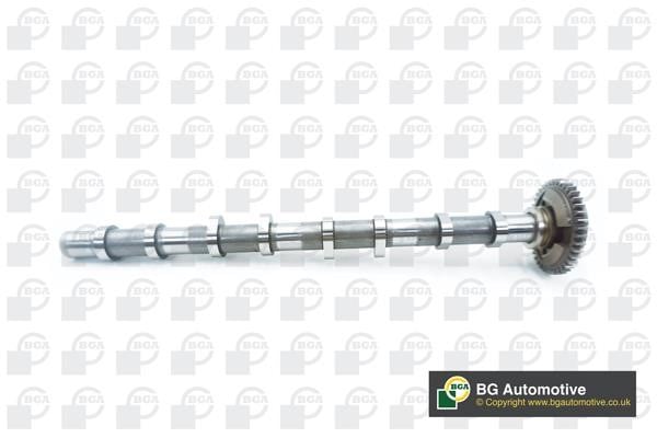 Wilmink Group WG2176620 Camshaft WG2176620: Buy near me at 2407.PL in Poland at an Affordable price!
