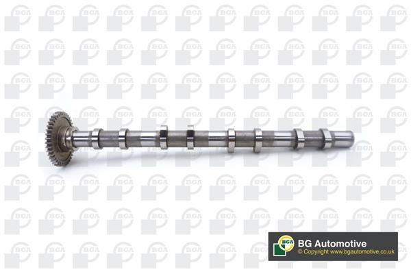Wilmink Group WG2176621 Camshaft WG2176621: Buy near me in Poland at 2407.PL - Good price!