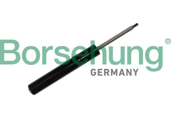 Borsehung B11180 Front suspension shock absorber B11180: Buy near me in Poland at 2407.PL - Good price!
