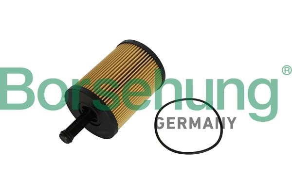 Borsehung B12224 Масляный фильтр B12224: Отличная цена - Купить в Польше на 2407.PL!