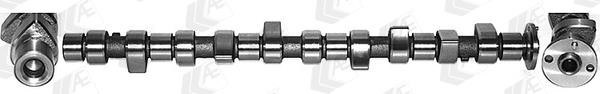 Wilmink Group WG1093055 Camshaft WG1093055: Buy near me in Poland at 2407.PL - Good price!