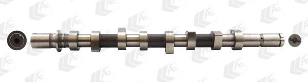 Wilmink Group WG1093069 Camshaft WG1093069: Buy near me in Poland at 2407.PL - Good price!