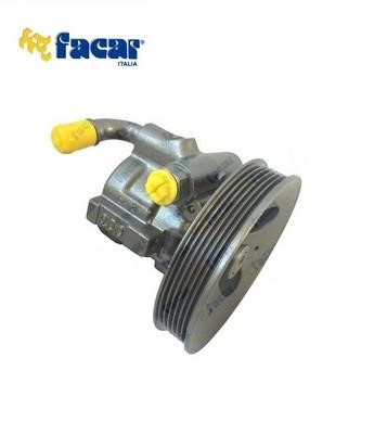 Facar 825029 Hydraulic Pump, steering system 825029: Buy near me in Poland at 2407.PL - Good price!