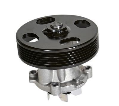 FI.BA filter WPF069 Water pump WPF069: Buy near me at 2407.PL in Poland at an Affordable price!