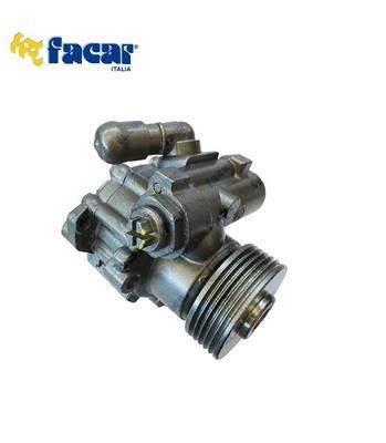 Facar 809069 Hydraulic Pump, steering system 809069: Buy near me in Poland at 2407.PL - Good price!