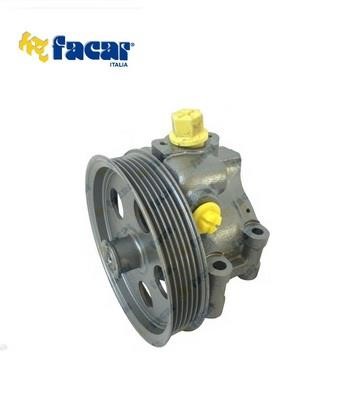 Facar 809062 Hydraulic Pump, steering system 809062: Buy near me in Poland at 2407.PL - Good price!