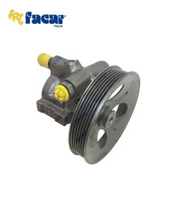 Facar 825006 Hydraulic Pump, steering system 825006: Buy near me in Poland at 2407.PL - Good price!