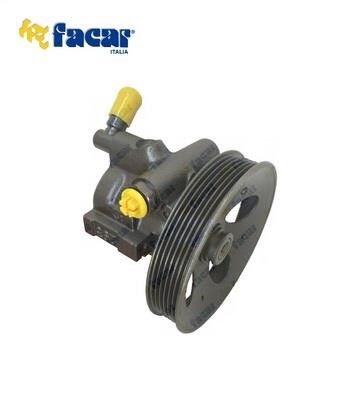 Facar 825002 Hydraulic Pump, steering system 825002: Buy near me in Poland at 2407.PL - Good price!