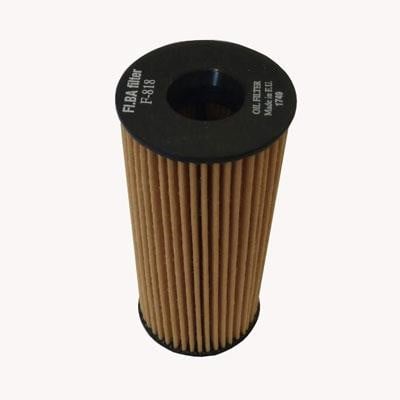 FI.BA filter F818 Фільтр масляний F818: Купити у Польщі - Добра ціна на 2407.PL!