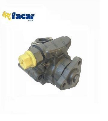 Facar 829019 Hydraulic Pump, steering system 829019: Buy near me in Poland at 2407.PL - Good price!