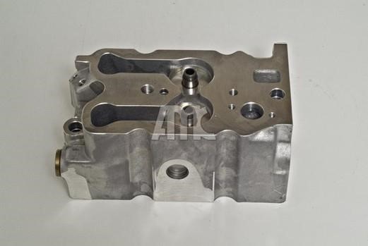 Wilmink Group WG1010968 Cylinderhead (exch) WG1010968: Buy near me in Poland at 2407.PL - Good price!