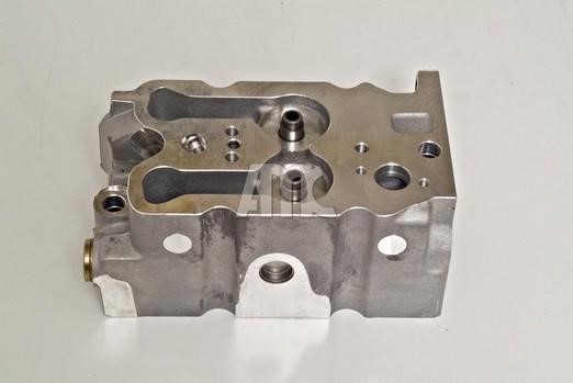 Wilmink Group WG1010970 Cylinderhead (exch) WG1010970: Buy near me in Poland at 2407.PL - Good price!