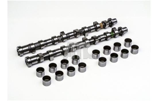 Wilmink Group WG2010571 Camshaft WG2010571: Buy near me in Poland at 2407.PL - Good price!