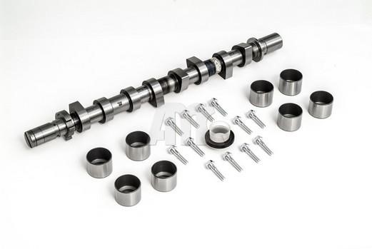 Wilmink Group WG2010592 Camshaft WG2010592: Buy near me in Poland at 2407.PL - Good price!