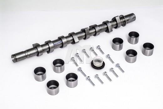 Wilmink Group WG2010637 Camshaft WG2010637: Buy near me in Poland at 2407.PL - Good price!