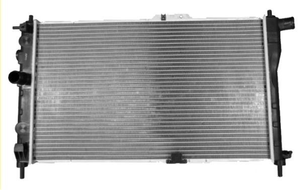 Wilmink Group WG1721782 Radiator, engine cooling WG1721782: Buy near me at 2407.PL in Poland at an Affordable price!