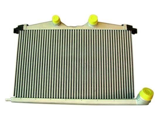 Wilmink Group WG1723875 Intercooler, charger WG1723875: Buy near me in Poland at 2407.PL - Good price!