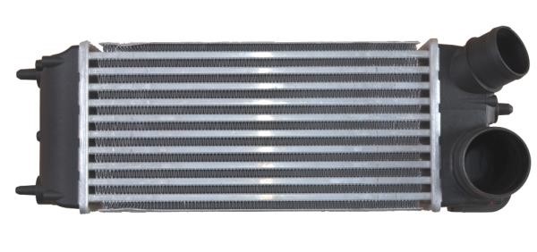 Wilmink Group WG1723909 Intercooler, charger WG1723909: Buy near me in Poland at 2407.PL - Good price!