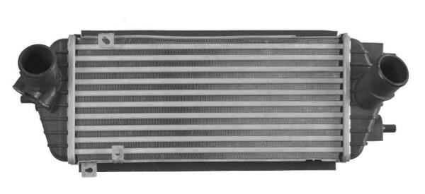 Wilmink Group WG1723884 Intercooler, charger WG1723884: Buy near me in Poland at 2407.PL - Good price!