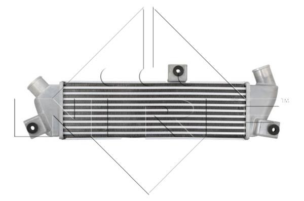 Wilmink Group WG1723887 Intercooler, charger WG1723887: Buy near me in Poland at 2407.PL - Good price!
