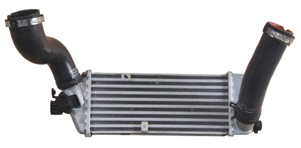 Wilmink Group WG1723888 Intercooler, charger WG1723888: Buy near me in Poland at 2407.PL - Good price!