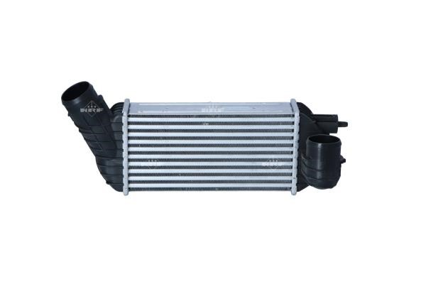 Wilmink Group WG1723928 Intercooler, charger WG1723928: Buy near me at 2407.PL in Poland at an Affordable price!