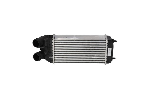 Wilmink Group WG1723976 Intercooler, charger WG1723976: Buy near me in Poland at 2407.PL - Good price!