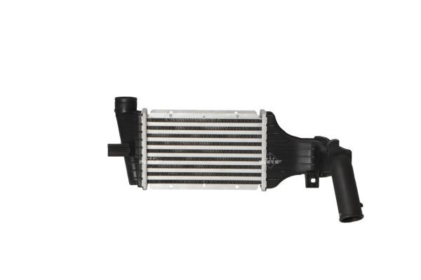 Wilmink Group WG1723956 Intercooler, charger WG1723956: Buy near me in Poland at 2407.PL - Good price!