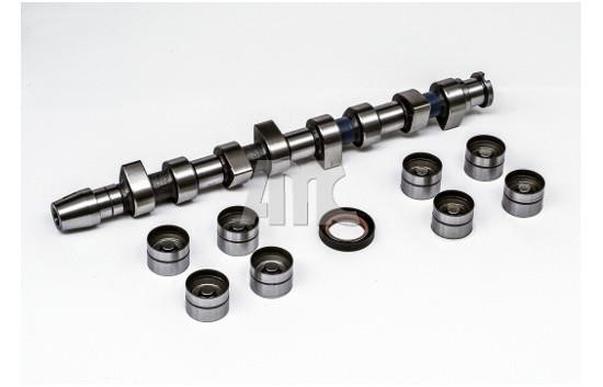 Wilmink Group WG2010544 Camshaft WG2010544: Buy near me in Poland at 2407.PL - Good price!