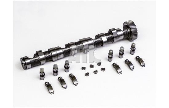 Wilmink Group WG2010552 Camshaft WG2010552: Buy near me in Poland at 2407.PL - Good price!