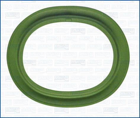 Wilmink Group WG1956572 Intake manifold housing gasket WG1956572: Buy near me at 2407.PL in Poland at an Affordable price!