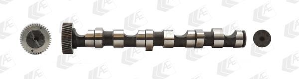 Wilmink Group WG1171924 Camshaft WG1171924: Buy near me in Poland at 2407.PL - Good price!