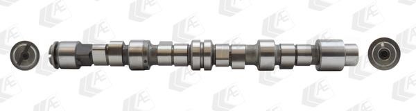 Wilmink Group WG1171942 Camshaft WG1171942: Buy near me in Poland at 2407.PL - Good price!