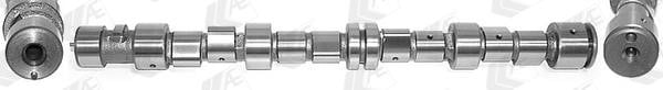 Wilmink Group WG1171947 Camshaft WG1171947: Buy near me in Poland at 2407.PL - Good price!