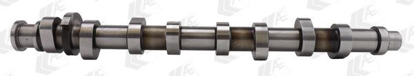 Wilmink Group WG1171952 Camshaft WG1171952: Buy near me in Poland at 2407.PL - Good price!