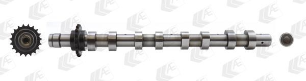 Wilmink Group WG1171953 Camshaft WG1171953: Buy near me in Poland at 2407.PL - Good price!