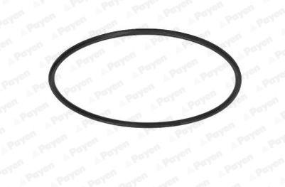 Wilmink Group WG1182932 Oil seal WG1182932: Buy near me in Poland at 2407.PL - Good price!
