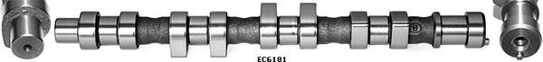 Wilmink Group WG1051581 Camshaft WG1051581: Buy near me in Poland at 2407.PL - Good price!