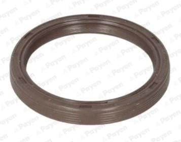 Wilmink Group WG1183274 Camshaft oil seal WG1183274: Buy near me in Poland at 2407.PL - Good price!