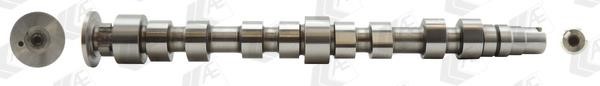 Wilmink Group WG1462558 Camshaft WG1462558: Buy near me in Poland at 2407.PL - Good price!