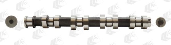 Wilmink Group WG1462562 Camshaft WG1462562: Buy near me in Poland at 2407.PL - Good price!