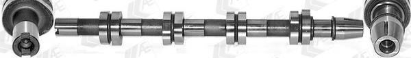 Wilmink Group WG1462572 Camshaft WG1462572: Buy near me in Poland at 2407.PL - Good price!