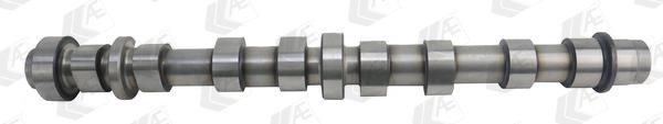 Wilmink Group WG1462575 Camshaft WG1462575: Buy near me in Poland at 2407.PL - Good price!